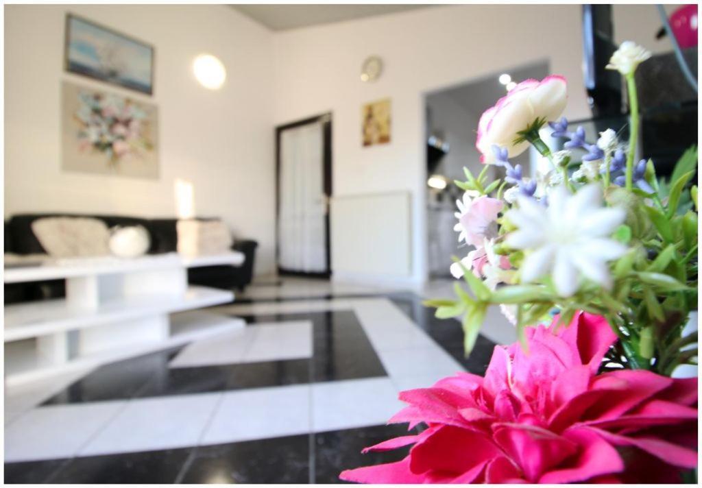 Appartement Mikelin à Primošten Extérieur photo